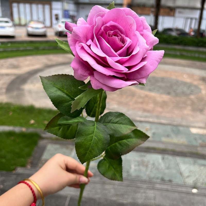 High-end moisturizing roses