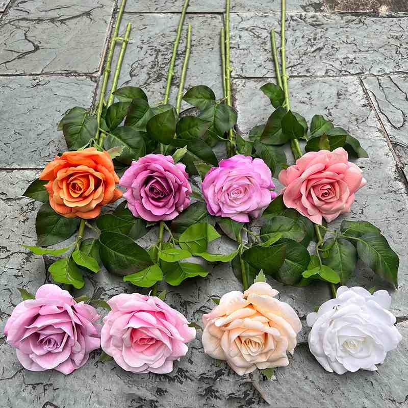 High-end moisturizing roses