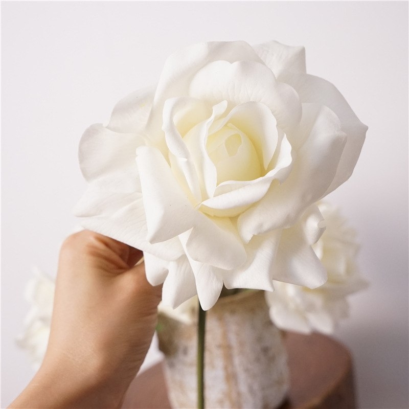 Moisturizing multi-colored roses