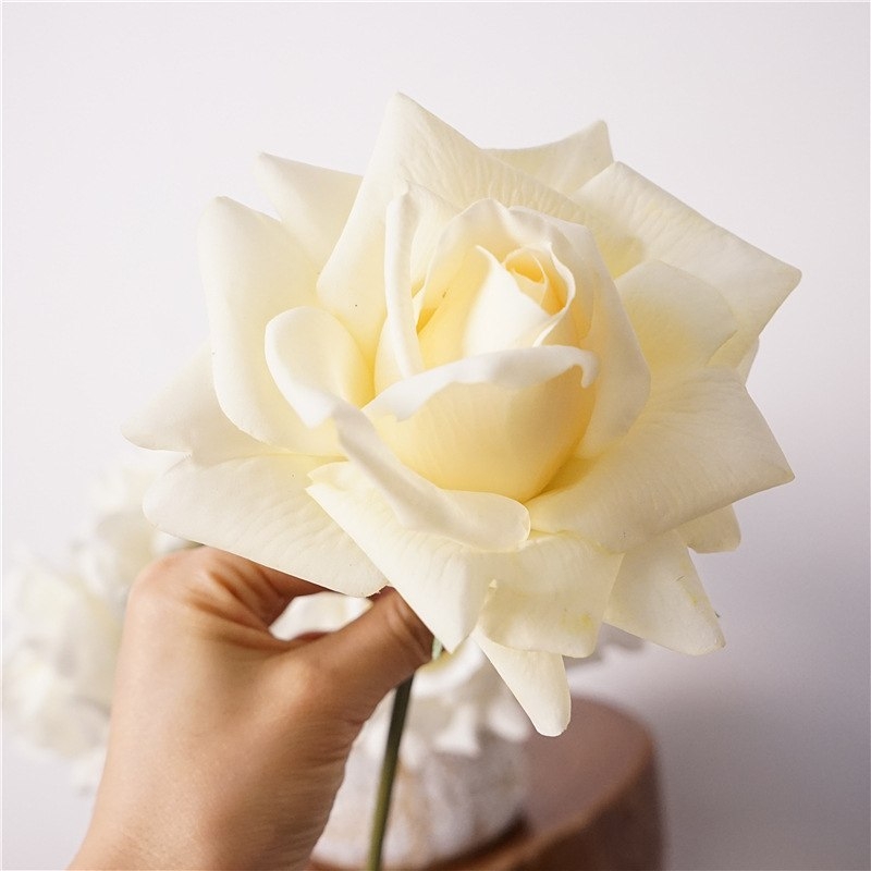 Moisturizing multi-colored roses