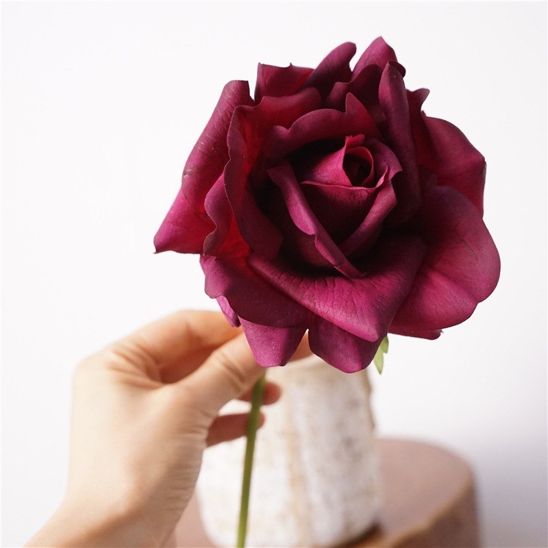 Moisturizing multi-colored roses