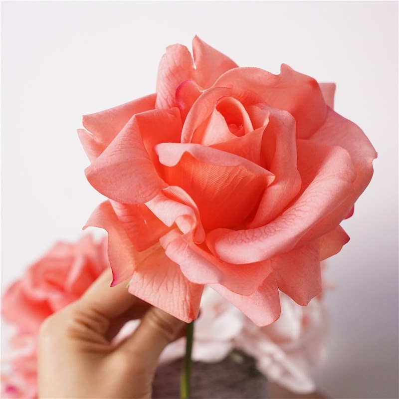 Moisturizing multi-colored roses