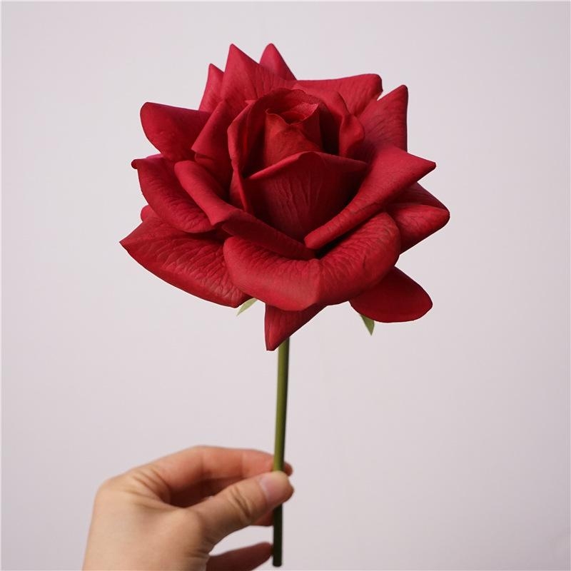 Moisturizing multi-colored roses