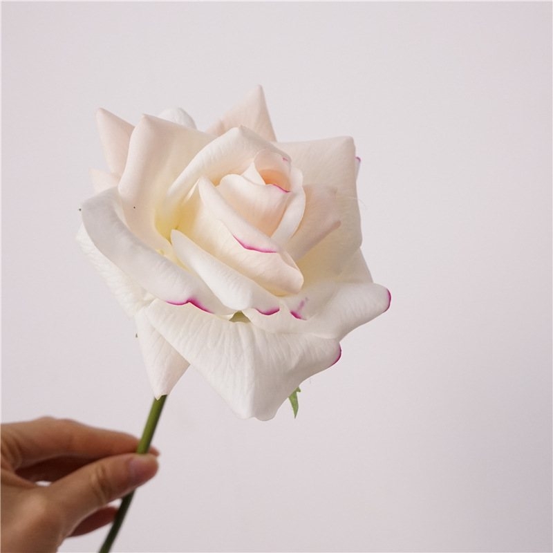 Moisturizing multi-colored roses