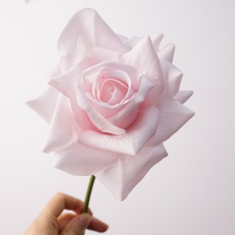 Moisturizing multi-colored roses