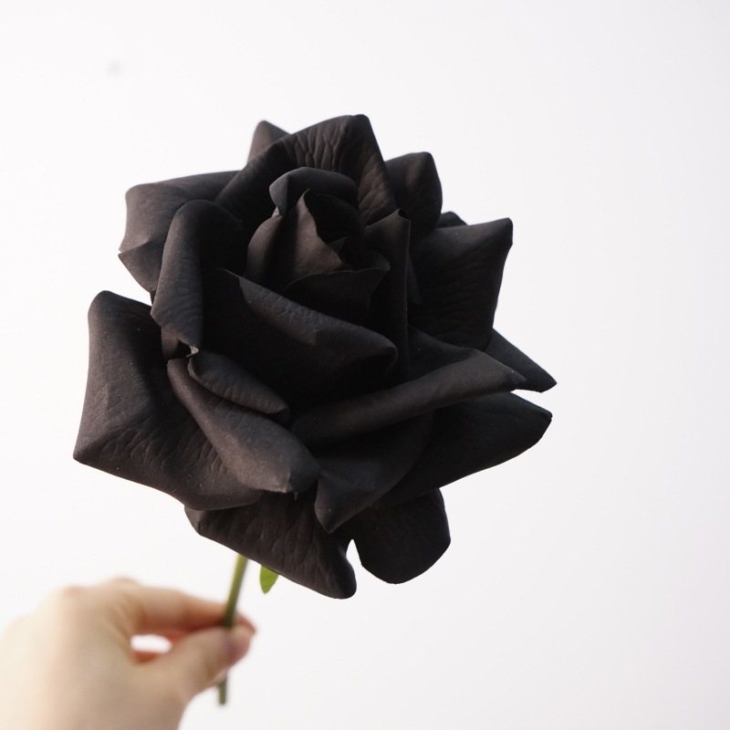 Moisturizing multi-colored roses