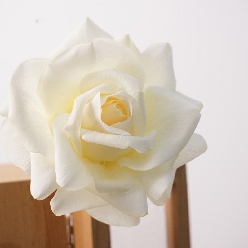 Moisturizing multi-colored roses