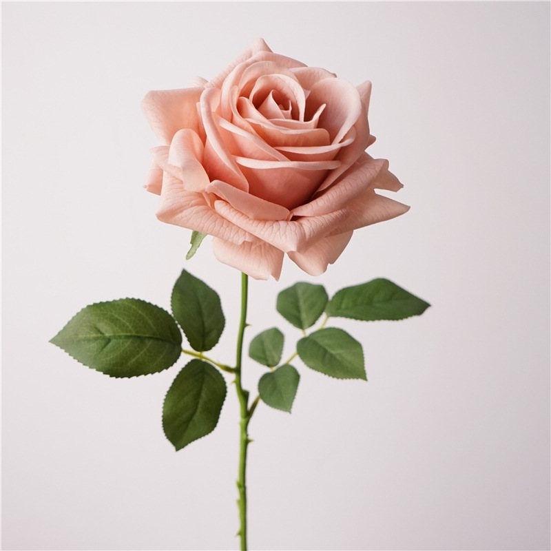 Wholesale moisturizing multi-colored roses