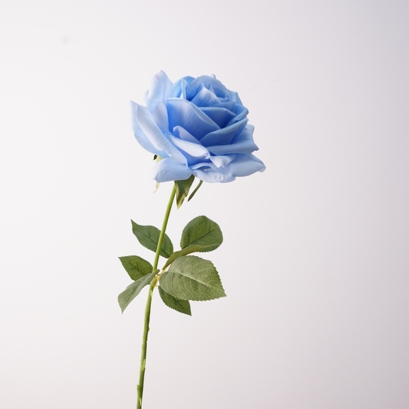 Wholesale moisturizing multi-colored roses