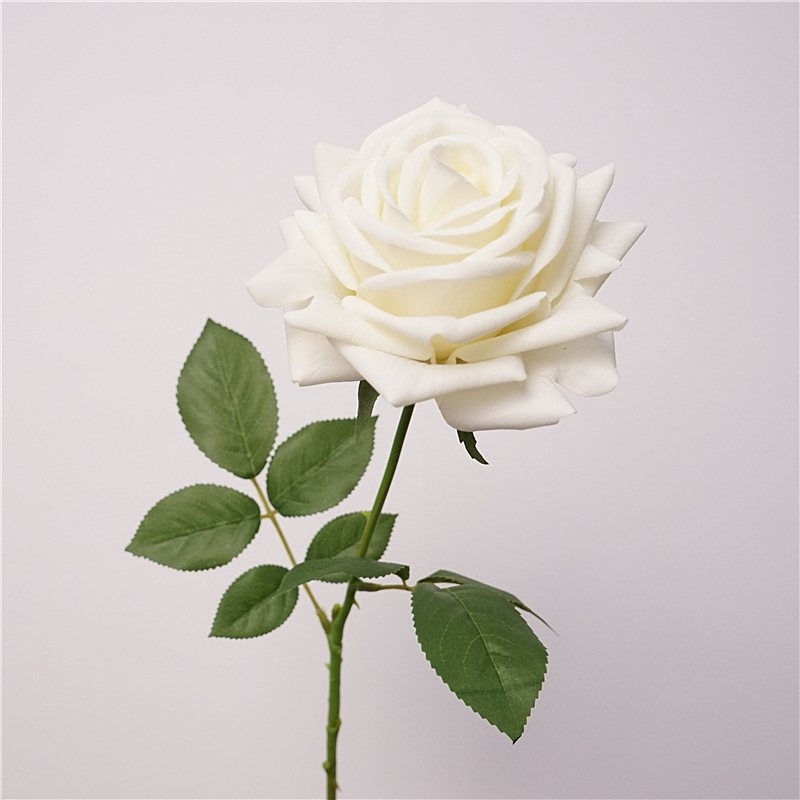 Wholesale moisturizing multi-colored roses