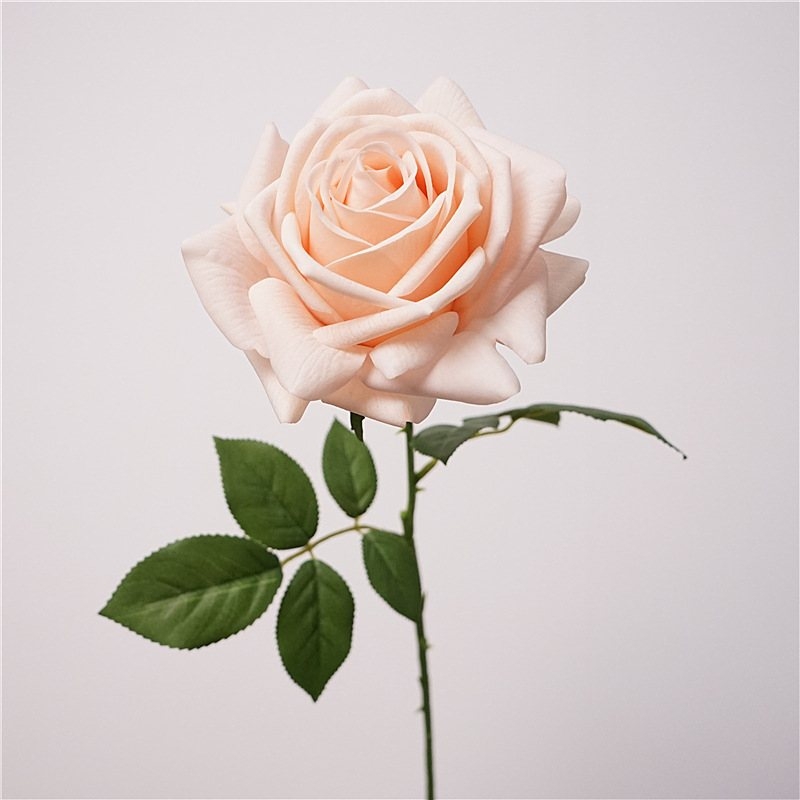 Wholesale moisturizing multi-colored roses