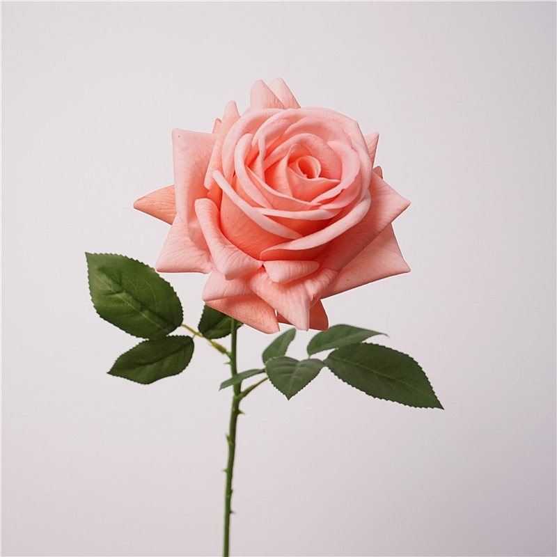 Wholesale moisturizing multi-colored roses