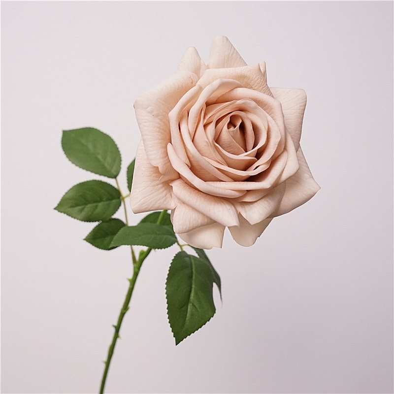 Wholesale moisturizing multi-colored roses