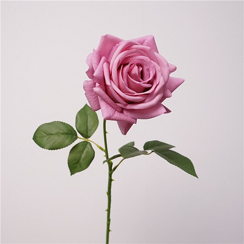 Wholesale moisturizing multi-colored roses