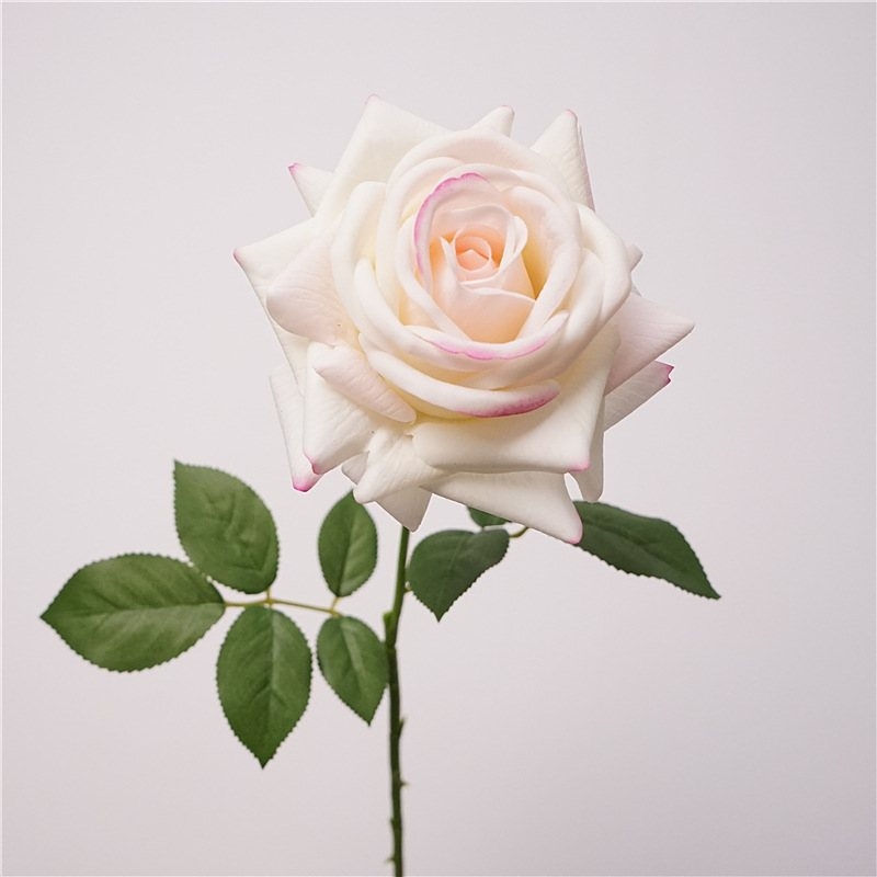 Wholesale moisturizing multi-colored roses