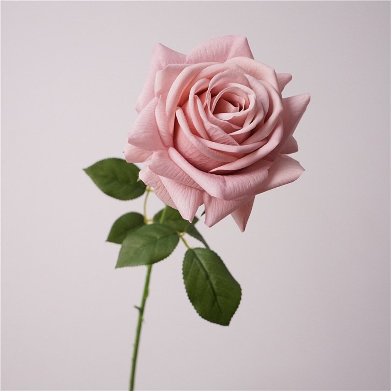 Wholesale moisturizing multi-colored roses