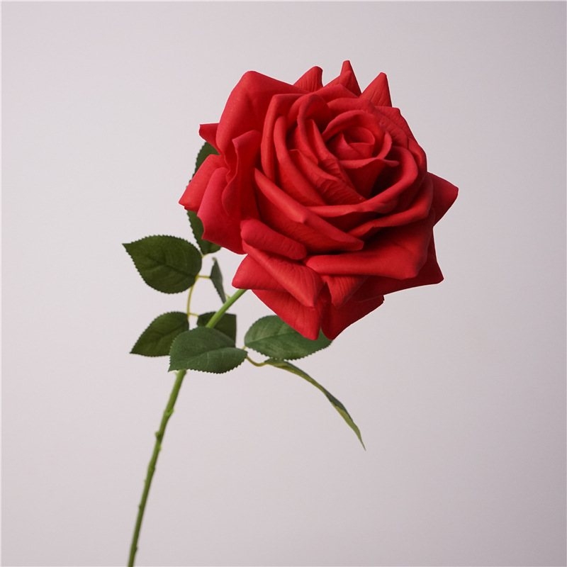 Wholesale moisturizing multi-colored roses