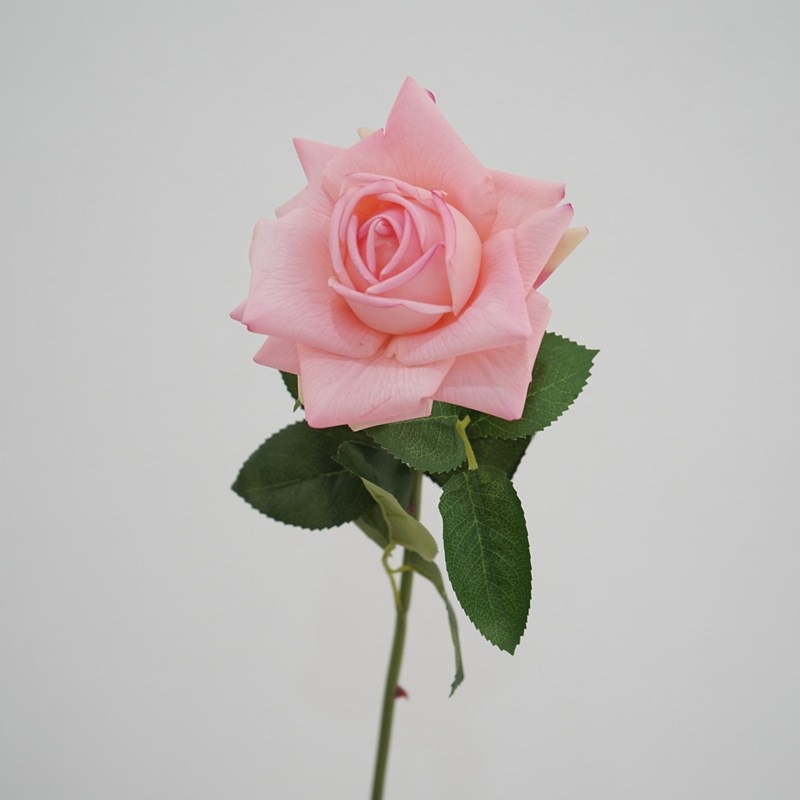 High-quality moisturizing simulated rose