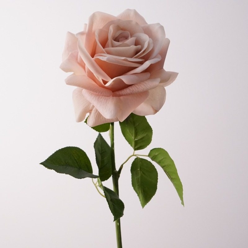 Wholesale moisturizing roses with a soft feel