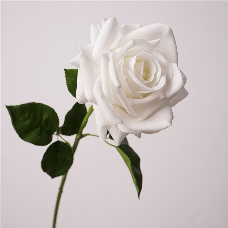 Wholesale moisturizing roses with a soft feel