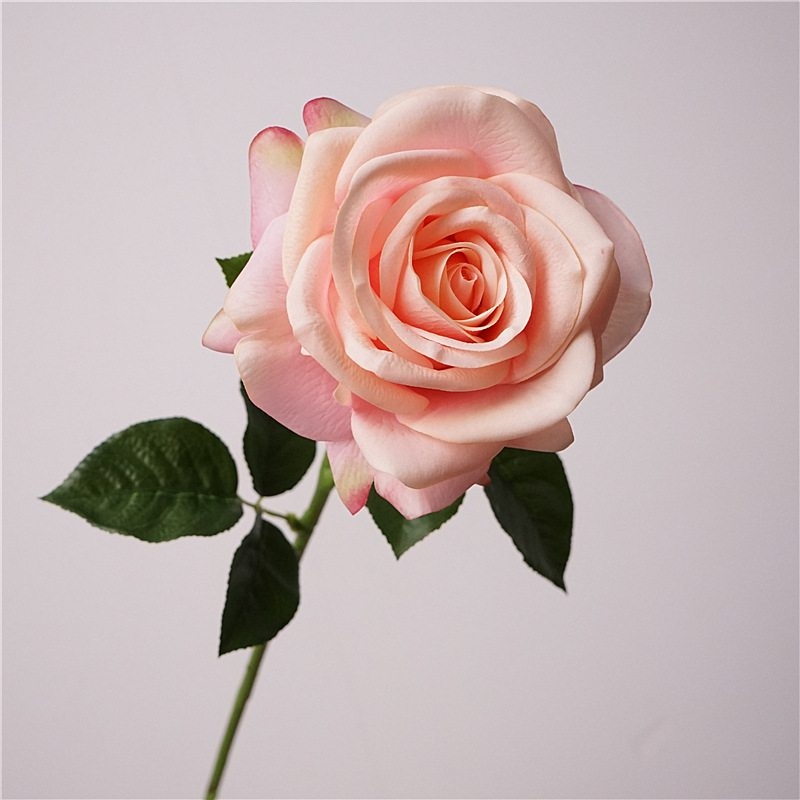 Wholesale moisturizing roses with a soft feel