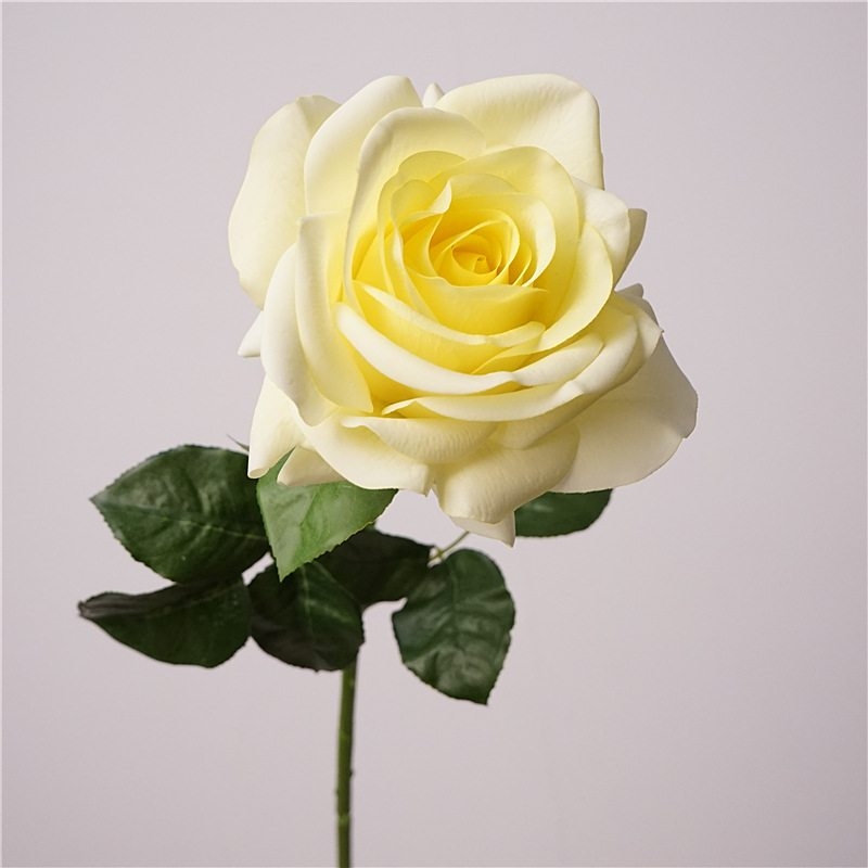 Wholesale moisturizing roses with a soft feel