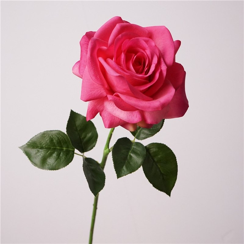 Wholesale moisturizing roses with a soft feel