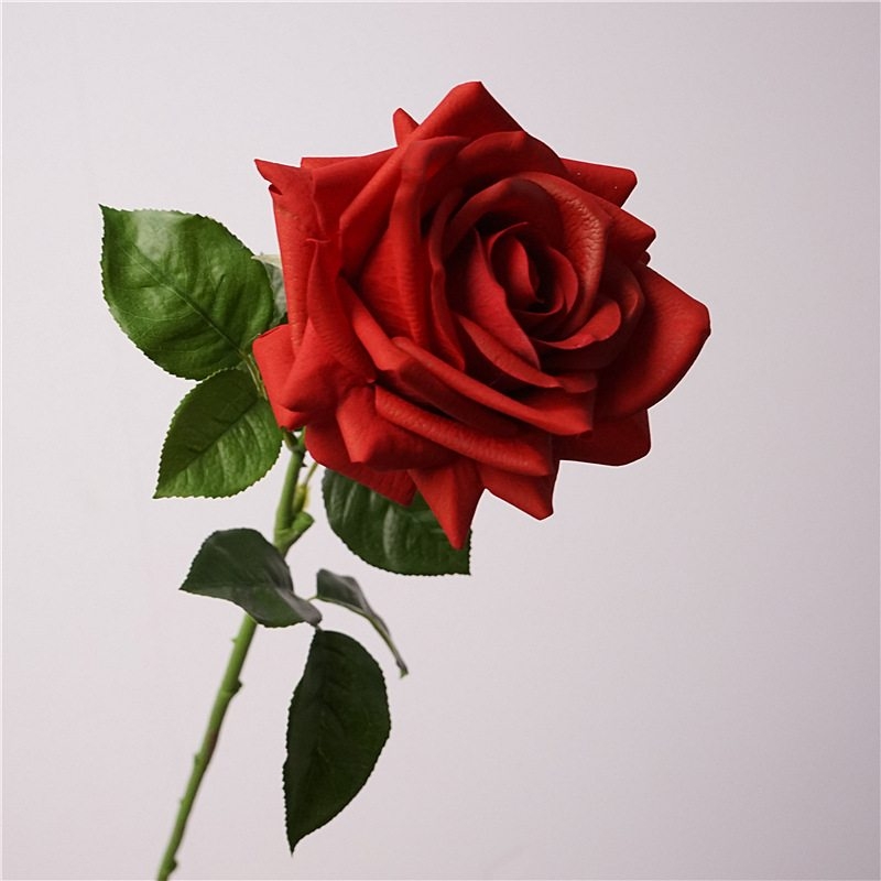 Wholesale moisturizing roses with a soft feel