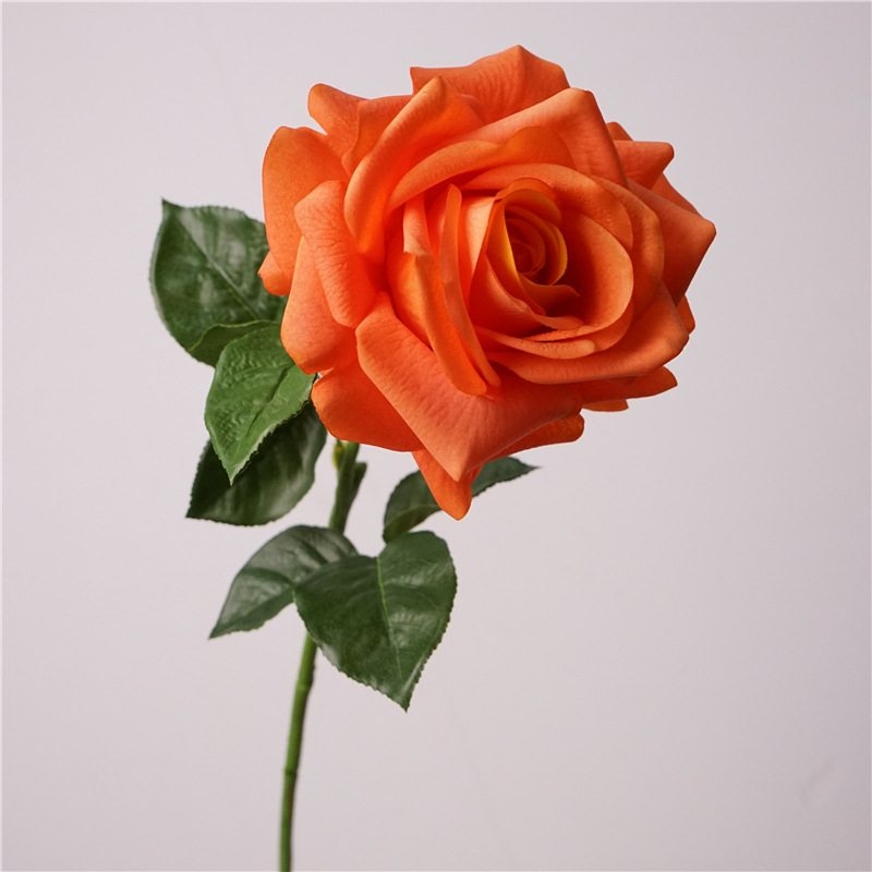 Wholesale moisturizing roses with a soft feel