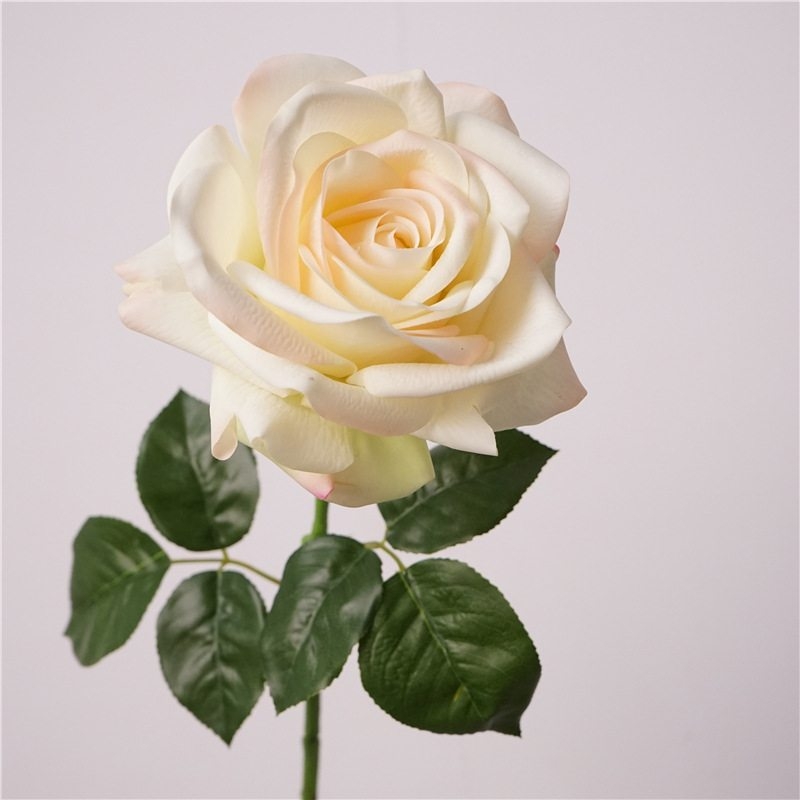 Wholesale moisturizing roses with a soft feel