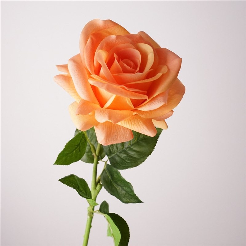 Wholesale moisturizing roses with a soft feel