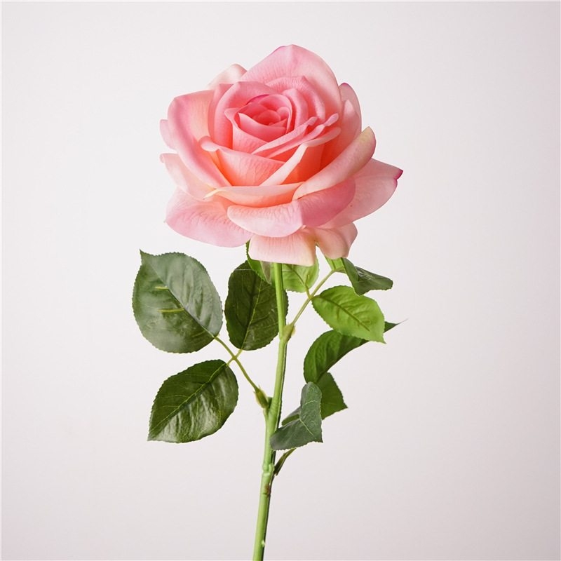 Wholesale moisturizing roses with a soft feel