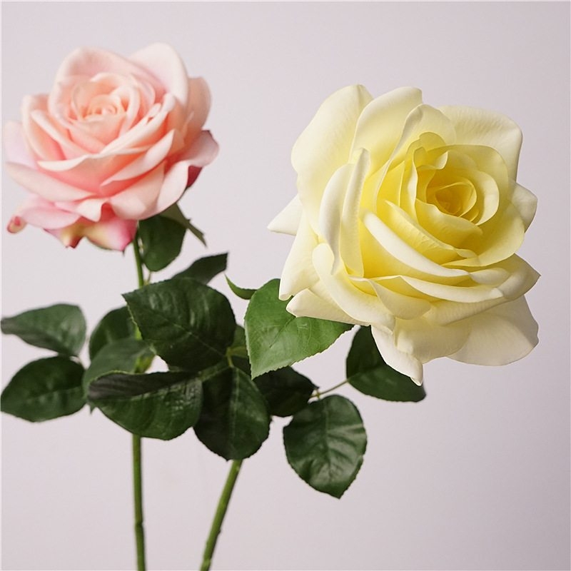 Wholesale moisturizing roses with a soft feel
