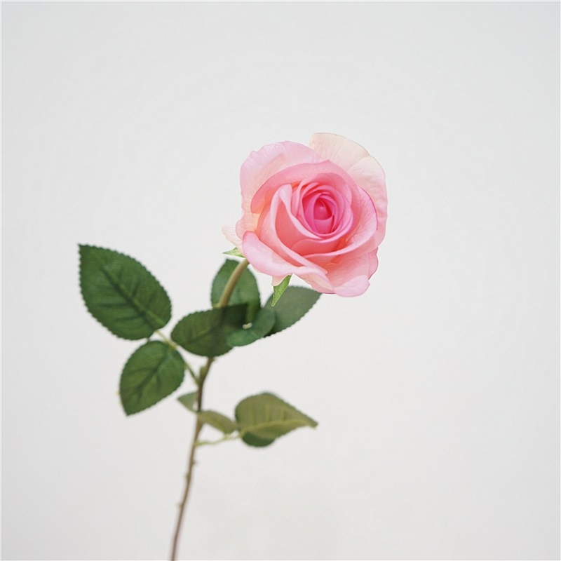 Simulated high moisturizing rose