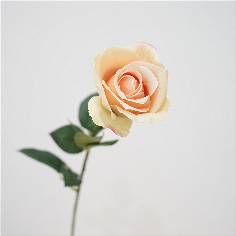 Simulated high moisturizing rose