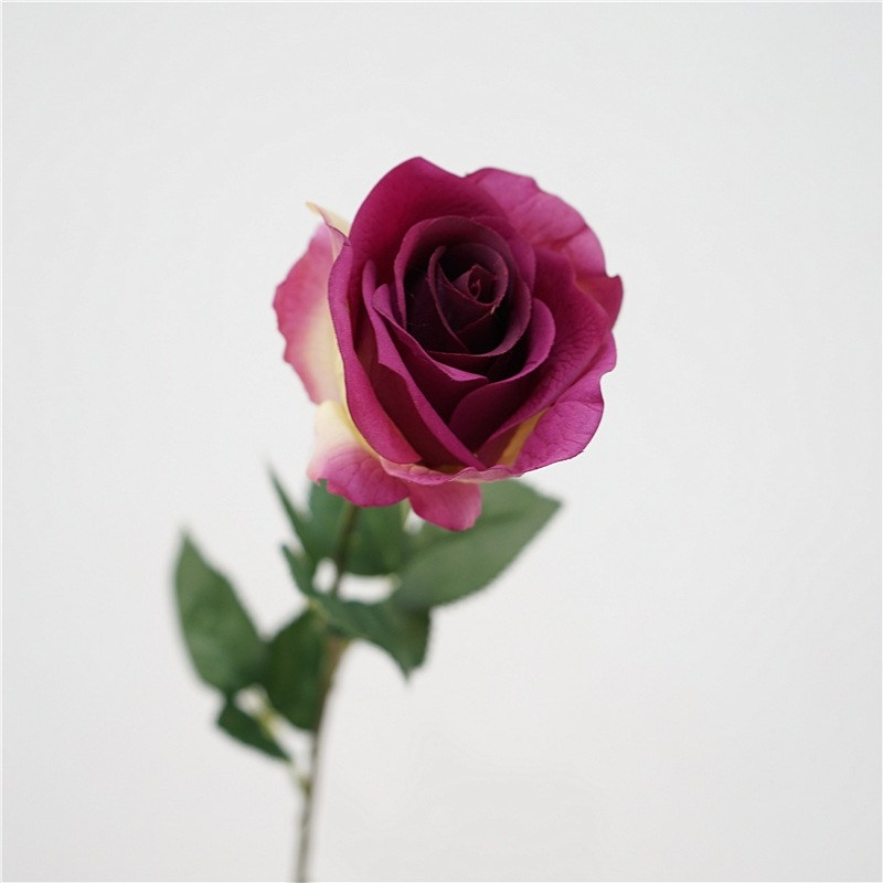 Simulated high moisturizing rose