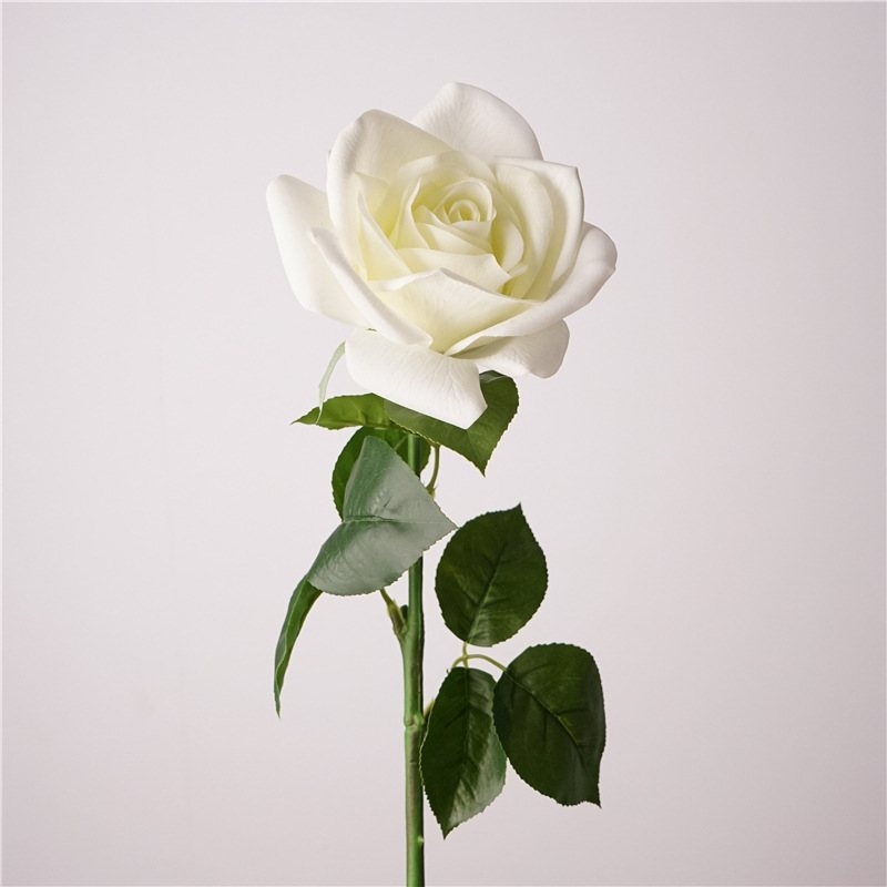 Multi-colored moisturizing rose