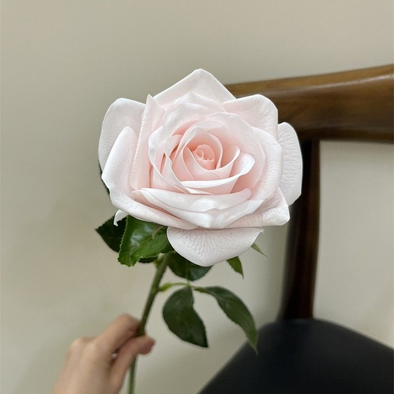Multi-colored moisturizing rose