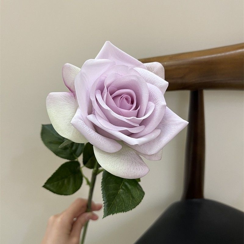 Multi-colored moisturizing rose