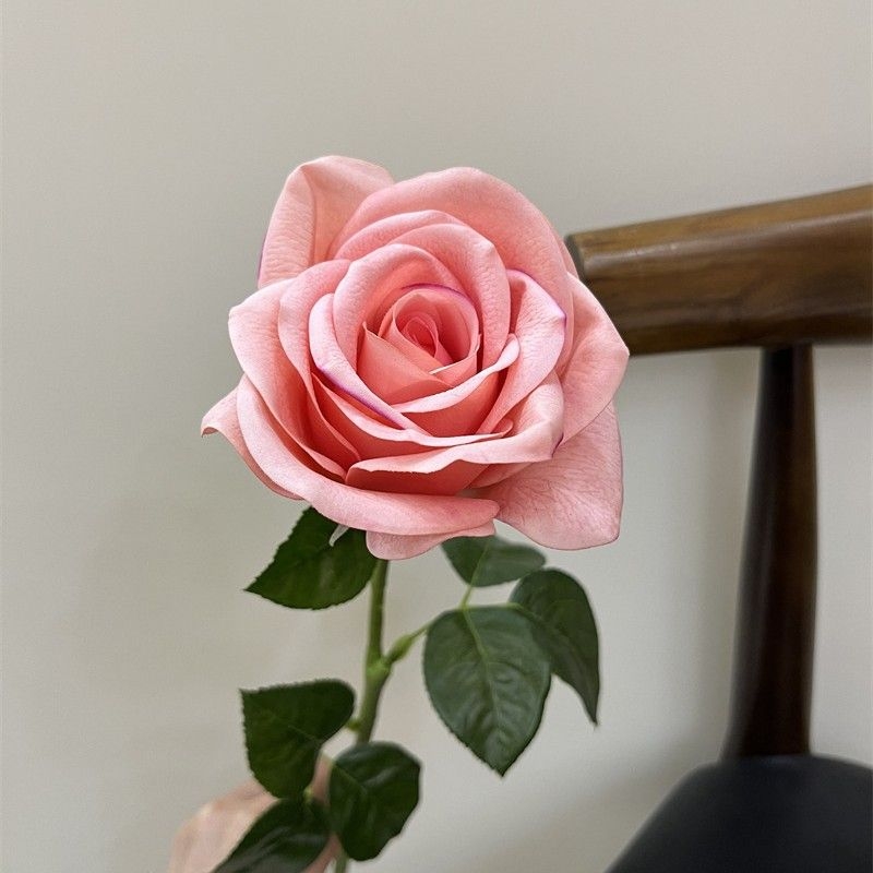Multi-colored moisturizing rose