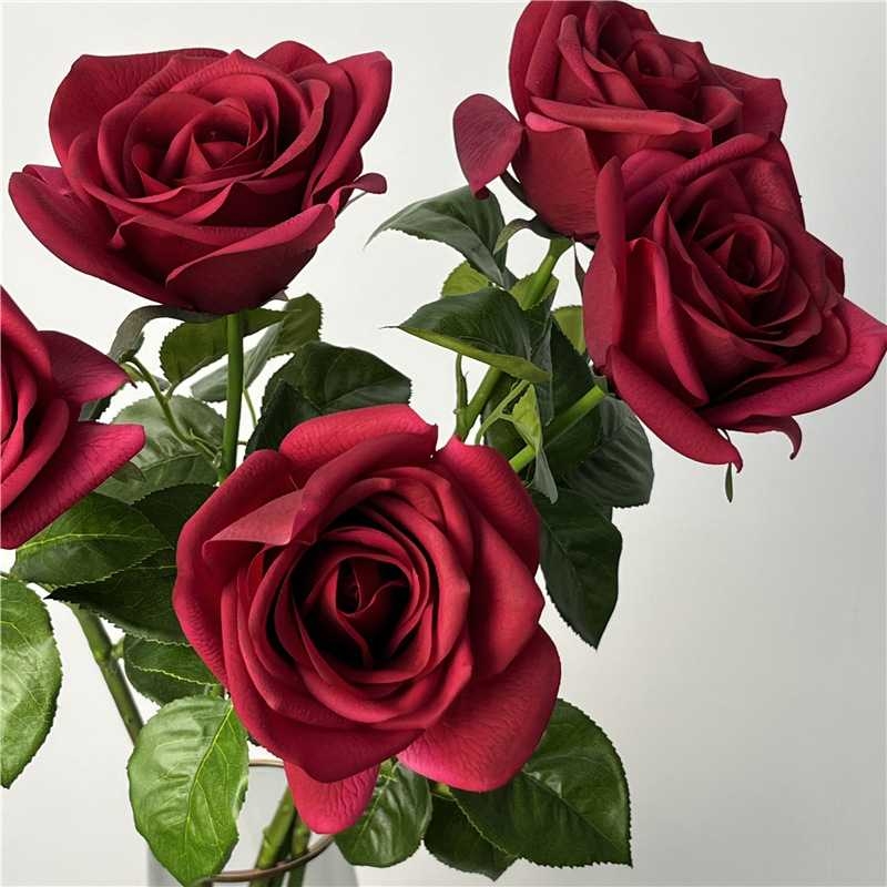 Multi-colored moisturizing rose