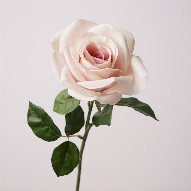 Multi-colored moisturizing rose