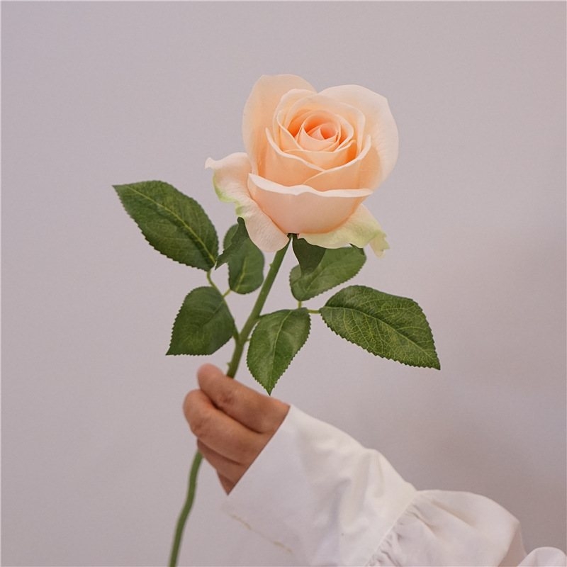 Factory direct sales of moisturizing roses