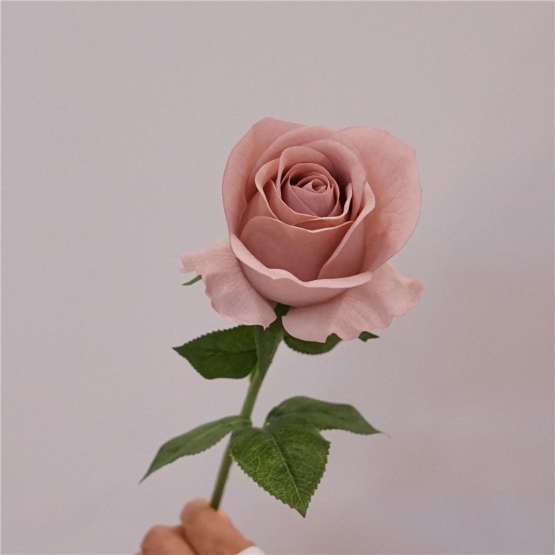 Factory direct sales of moisturizing roses