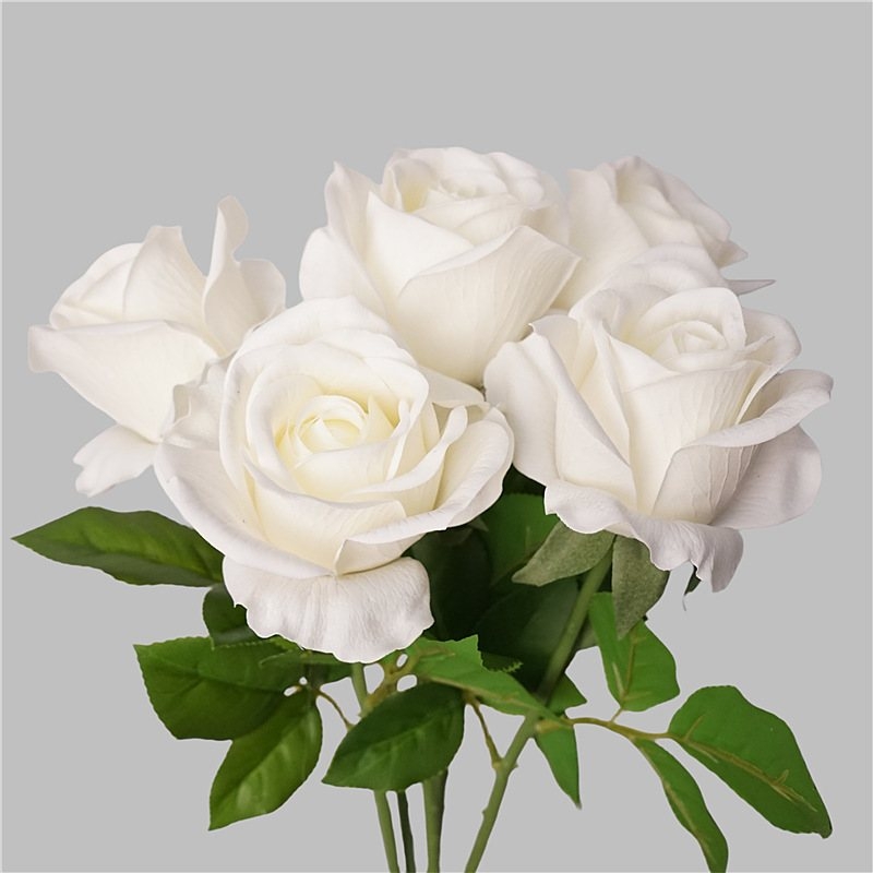 Factory direct sales of moisturizing roses