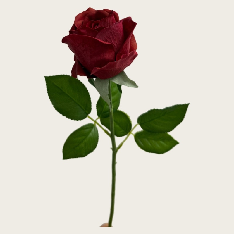 Factory direct sales of moisturizing roses