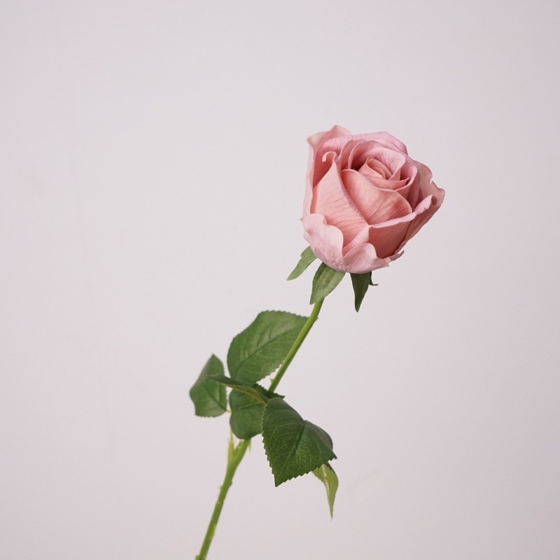Wholesale of artificial roses with a hand feel