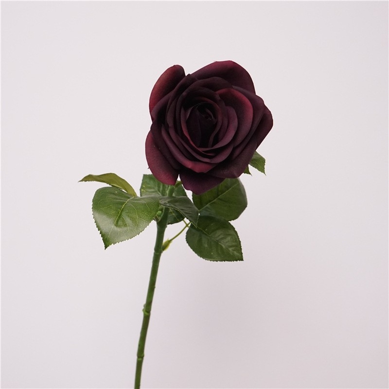 Multi-colored moisturizing rose wholesale