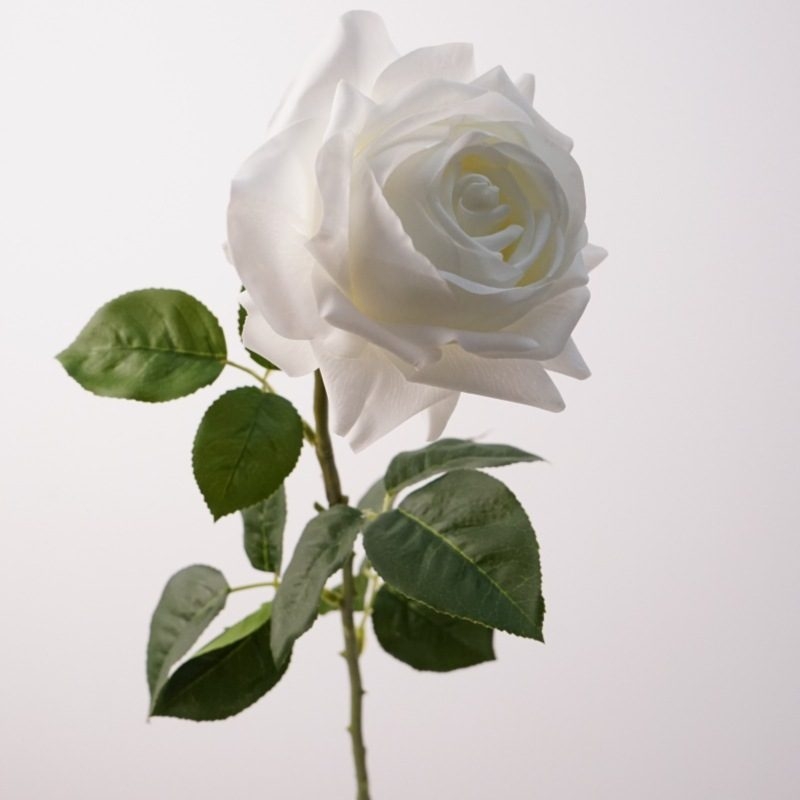 Realistic-feeling moisturizing rose