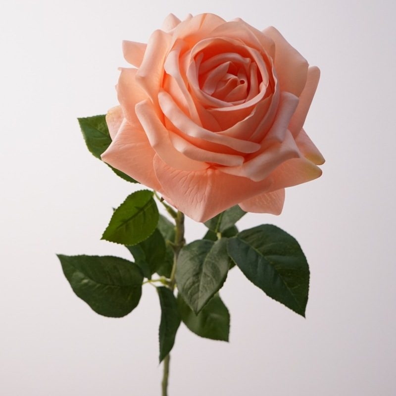 Realistic-feeling moisturizing rose
